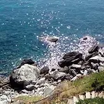 Ξενοδοχείο με διαμερίσματα Delfini 4*