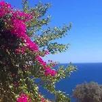 Delfini 4* Αχλαδερή