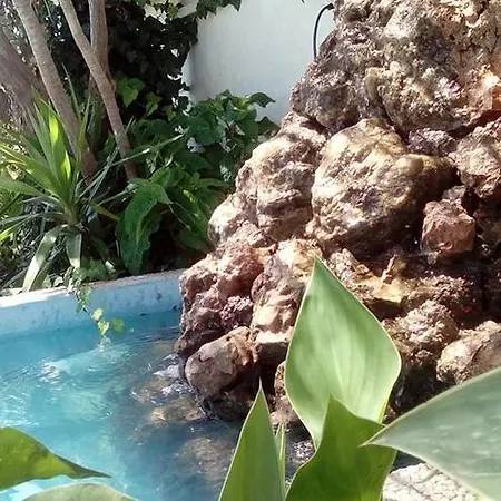 Delfini 4* Akhladherí