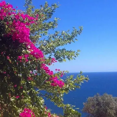 Delfini 4* Akhladherí